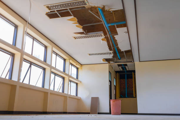 Best Residential water damage restoration  in Port Norris, NJ