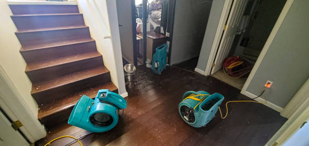 Best Flood restoration services  in Port Norris, NJ