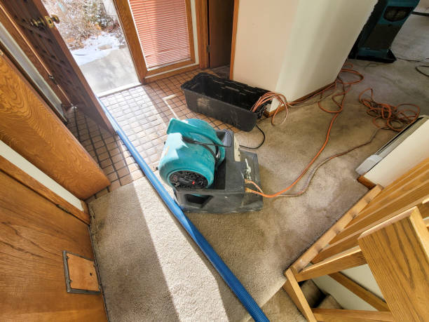Best 24-hour water damage restoration  in Port Norris, NJ