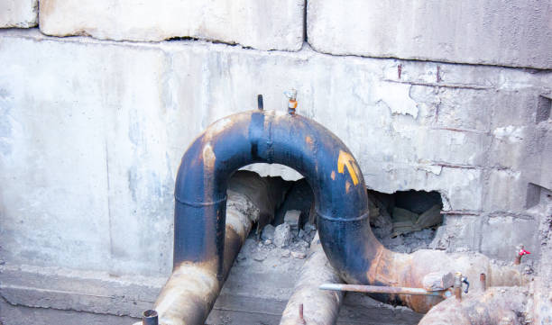 Best Water damage restoration near me  in Port Norris, NJ