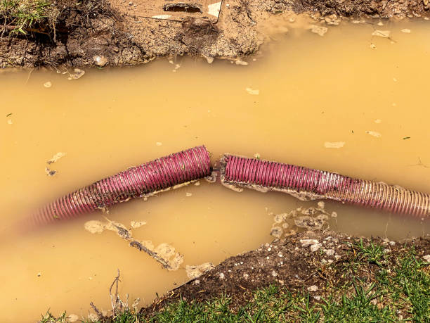 Best Water damage restoration specialists  in Port Norris, NJ
